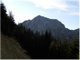 Tržiški graben - Planina Javornik